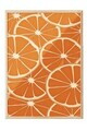 Tablou decorativ, 109131, Lemn masiv, Sticla PVC, Multicolor