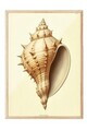 Tablou decorativ, 109602, Lemn masiv, Sticla PVC, Multicolor