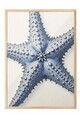 Tablou decorativ, 109667, Lemn masiv, Sticla PVC, Multicolor