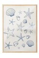Tablou decorativ, 109690, Lemn masiv, Sticla PVC, Multicolor
