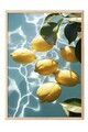 Tablou decorativ, 109697, Lemn masiv, Sticla PVC, Multicolor