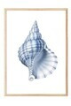 Tablou decorativ, 109741, Lemn masiv, Sticla PVC, Multicolor