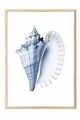 Tablou decorativ, 109743, Lemn masiv, Sticla PVC, Multicolor