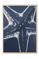 Tablou decorativ, 109744, Lemn masiv, Sticla PVC, Multicolor