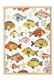 Tablou decorativ, 109756, Lemn masiv, Sticla PVC, Multicolor