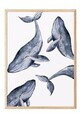 Tablou decorativ, 109833, Lemn masiv, Sticla PVC, Multicolor