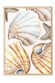 Tablou decorativ, 109858, Lemn masiv, Sticla PVC, Multicolor