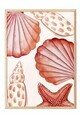 Tablou decorativ, 109859, Lemn masiv, Sticla PVC, Multicolor