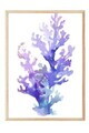 Tablou decorativ, 109871, Lemn masiv, Sticla PVC, Multicolor
