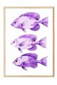 Tablou decorativ, 109874, Lemn masiv, Sticla PVC, Multicolor