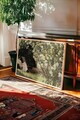 Tablou decorativ, 115117, Lemn masiv, Sticla PVC, Multicolor
