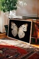 Tablou decorativ, 115181, Lemn masiv, Sticla PVC, Multicolor