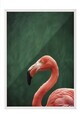 Tablou decorativ, 115198, Lemn masiv, Sticla PVC, Multicolor