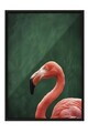 Tablou decorativ, 115198, Lemn masiv, Sticla PVC, Multicolor