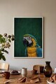 Tablou decorativ, 115207, Lemn masiv, Sticla PVC, Multicolor