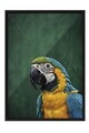 Tablou decorativ, 115207, Lemn masiv, Sticla PVC, Multicolor