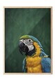 Tablou decorativ, 115207, Lemn masiv, Sticla PVC, Multicolor