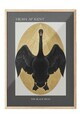 Tablou decorativ, 115216, Lemn masiv, Sticla PVC, Multicolor