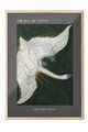Tablou decorativ, 115232, Lemn masiv, Sticla PVC, Multicolor