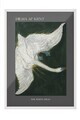 Tablou decorativ, 115232, Lemn masiv, Sticla PVC, Multicolor