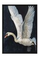 Tablou decorativ, 115243, Lemn masiv, Sticla PVC, Multicolor