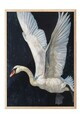 Tablou decorativ, 115243, Lemn masiv, Sticla PVC, Multicolor