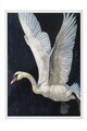 Tablou decorativ, 115243, Lemn masiv, Sticla PVC, Multicolor