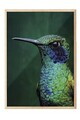 Tablou decorativ, 115245, Lemn masiv, Sticla PVC, Multicolor