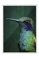 Tablou decorativ, 115245, Lemn masiv, Sticla PVC, Multicolor