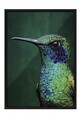 Tablou decorativ, 115245, Lemn masiv, Sticla PVC, Multicolor