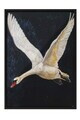 Tablou decorativ, 115246, Lemn masiv, Sticla PVC, Multicolor