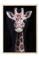 Tablou decorativ, 115258, Lemn masiv, Sticla PVC, Multicolor