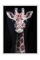 Tablou decorativ, 115258, Lemn masiv, Sticla PVC, Multicolor