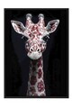 Tablou decorativ, 115258, Lemn masiv, Sticla PVC, Multicolor