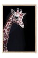 Tablou decorativ, 115260, Lemn masiv, Sticla PVC, Multicolor