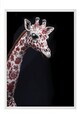 Tablou decorativ, 115260, Lemn masiv, Sticla PVC, Multicolor