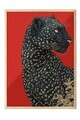 Tablou decorativ, 115272, Lemn masiv, Sticla PVC, Multicolor