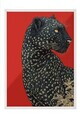 Tablou decorativ, 115272, Lemn masiv, Sticla PVC, Multicolor