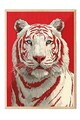 Tablou decorativ, 115275, Lemn masiv, Sticla PVC, Multicolor