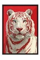 Tablou decorativ, 115275, Lemn masiv, Sticla PVC, Multicolor