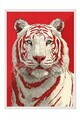 Tablou decorativ, 115275, Lemn masiv, Sticla PVC, Multicolor