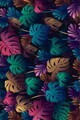 Covor, CT-2154, 80x300 cm, Poliester, Multicolor