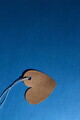 Covor, Wookece194, 50x80 cm, Poliester, Multicolor