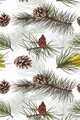 Covor, Wookece215, 160x230 cm, Poliester, Multicolor
