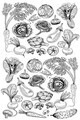 Covor, Wookece219, 160x230 cm, Poliester, Multicolor