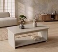 Masuta de cafea, Hanah Home, Chb1-Kas, 100x41.8x50 cm, PAL, Casmir