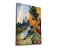 Tablou decorativ, WY297 (50 x 70), Bumbac/Poliester, Canvas imprimat, Multicolor