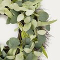 Coronita Virena, Homla, 50 cm, plastic, verde