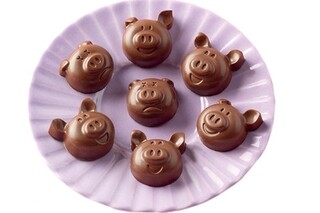 Maro, Pigs