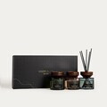 Set 3 piese difuzor de parfum cu betisoare Woody Blend, Homla, 100 ml, sticla, negru